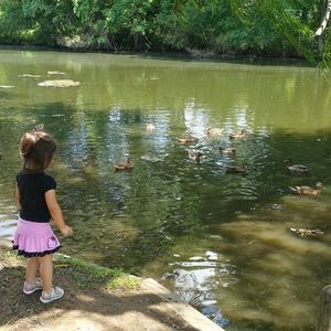 Meet your Posher, Chase